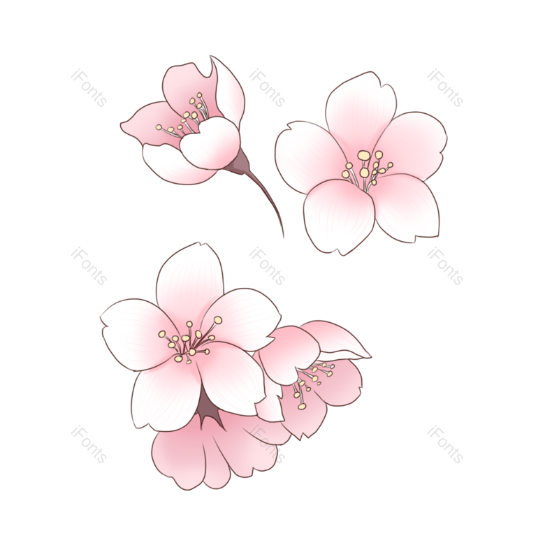 花瓣图片,樱花元素,春天PNG,免抠素材